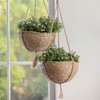 Natural Seagrass Hanging Planter Basket Set, Indoor Plant Pots, Boho