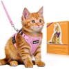 Cat Harness Leash for Cats, Dedicated Harness, Cat Towing Rope,