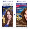 Wellaton 2+1 Liquid Type Hair Dye (Non-Pharmaceutical)