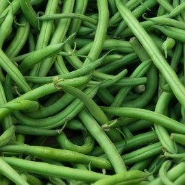 Everwilde Farms 1 Lb Landreth Stringless Green Bush Bean Seeds - Everwilde Farms Mylar Packet