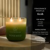 PartyLite Renewed Scented, with Notes of Orange, Lemon, Nutmeg, Pine