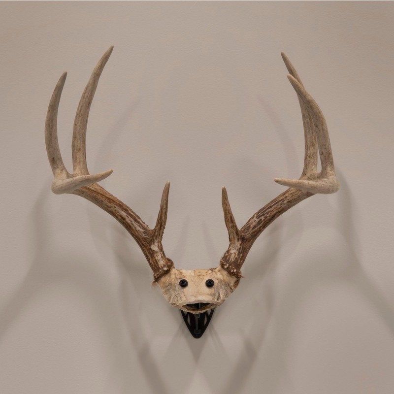 Allen Company EZ Mount Horn Bracket, Brown