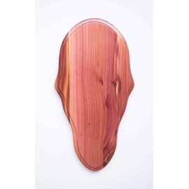 Taxidermists Woodshop Cedar Classic Deer European Skull Mount Face Plate Plaque