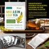 Mullein Leaf Tea, Mullein Leaf Tea Bags for Respiratory, Natural