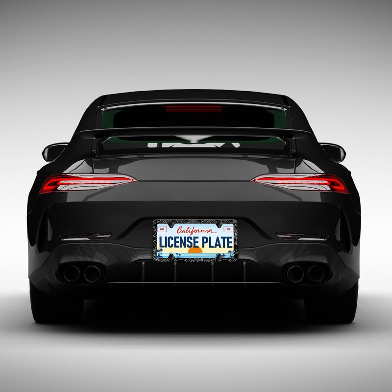 Spider Web License Plate Frames - 2 Pack Front Rear