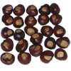 Ohio Buckeye Company Buckeye Nuts - Nickel Size - Twenty-Five Nuts