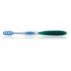 Tess Oral Health Soft Bristle Toothbrush - 12 Count -