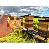 BeekeeiBeck® - 100% Real German Flower Pollen from Own Beekeeping