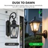 Qualilux Dusk to Dawn Edison LED Light Bulbs ST19, 3000K