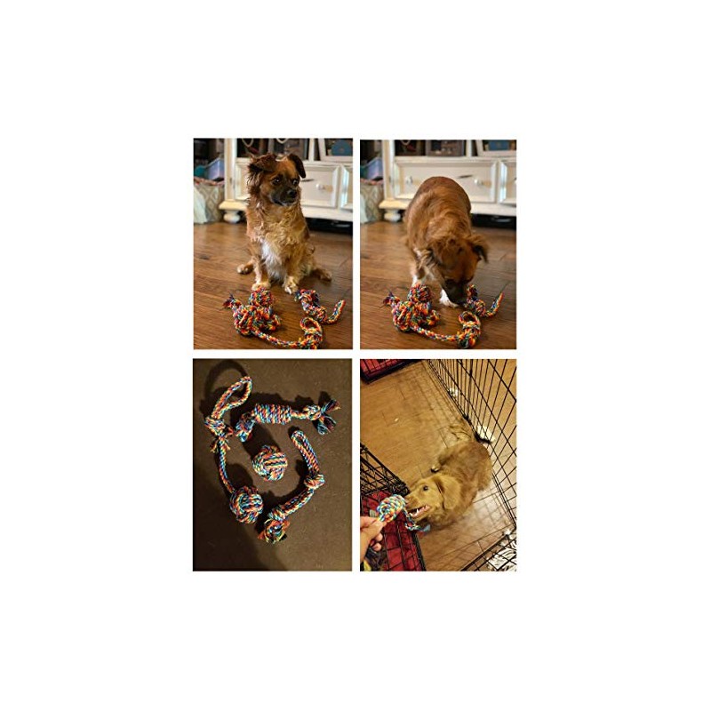 ERKOON Juego de Juguetes de Cuerda para Perros, Pelota de