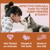 OUT! Go Here Dog Attractant, Pet Potty Training Spray, Indoor