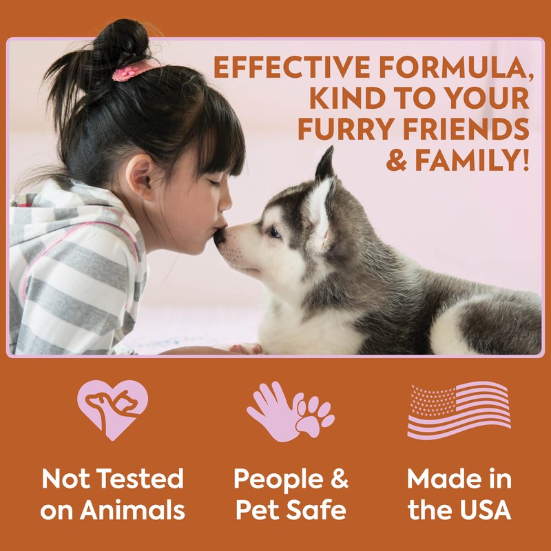 OUT! Go Here Dog Attractant, Pet Potty Training Spray, Indoor