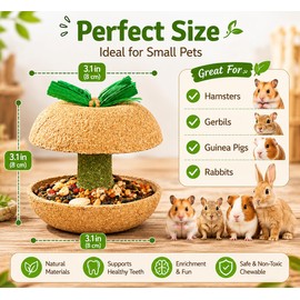 Wagorific Hamster Chew Toys for Teeth – Natural Guinea Pig & Small Animal Chew Treats, Snack Holder & Cage Accessory for Rabbits, Bunnies, Chinchillas, Rats