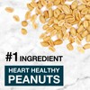 KIND Nut Snack Bars Gluten Free 12 Count Chewy with