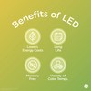 GE LED String Light Bulb Replacements, Soft White, S14 Bulbs,