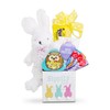 Alder Creek Gift Baskets Hippity Hop Easter Box with Bunny