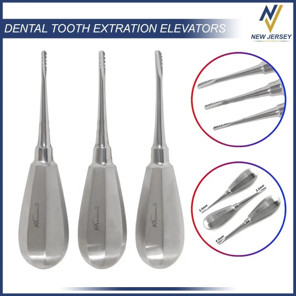 Margalla int® 3 Pcs Dental Root Elevators Oral Surgery PDL