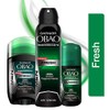 Garnier Obao Roll-On Men Classic, 65 gr