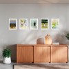Tobeelec 6 Pack 5.6 x 7.6 Inches Shadow Box Frame,