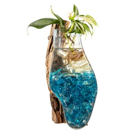 Cape Craftsmen Wall Mounted Molten Glass Hanging Terrarium on Driftwood, Indoor Wall Planter Vase on Wood, Propagation Station for Hydroponics Plants, Succulent Pot
