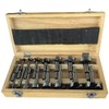 Drill America 16 Piece Forstner Drill Bit Set (1/4" -