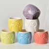 Cuteforyou Succulent Pots,Cute Cartoon Animal Owl Shaped Ceramic Succulent Cactus