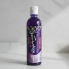 Shampoo Chic Style Matizador 500 Ml Filtro Uv Plata