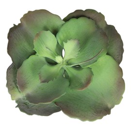 Ebros Gift Pack of 6 Realistic Lifelike Artificial Lilacina Paddle Desert Plant Succulents Green Botanica 8.5" Diameter Home Garden Verandah Office Table Centerpieces DIY Arrangements