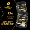 PVL Creatine X8 - Advanced Creatine Multiplier - creatine monohydrate