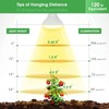 Briignite LED Grow Light Bulb, BR30 Grow Light Bulbs, Full