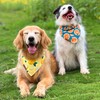 Cute Fruit Dog Bandanas 2 Pack, 4 Patterns Watermelon Lemon
