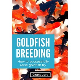 Goldfish Breeding: How to Successfully Raise Goldfish Fry