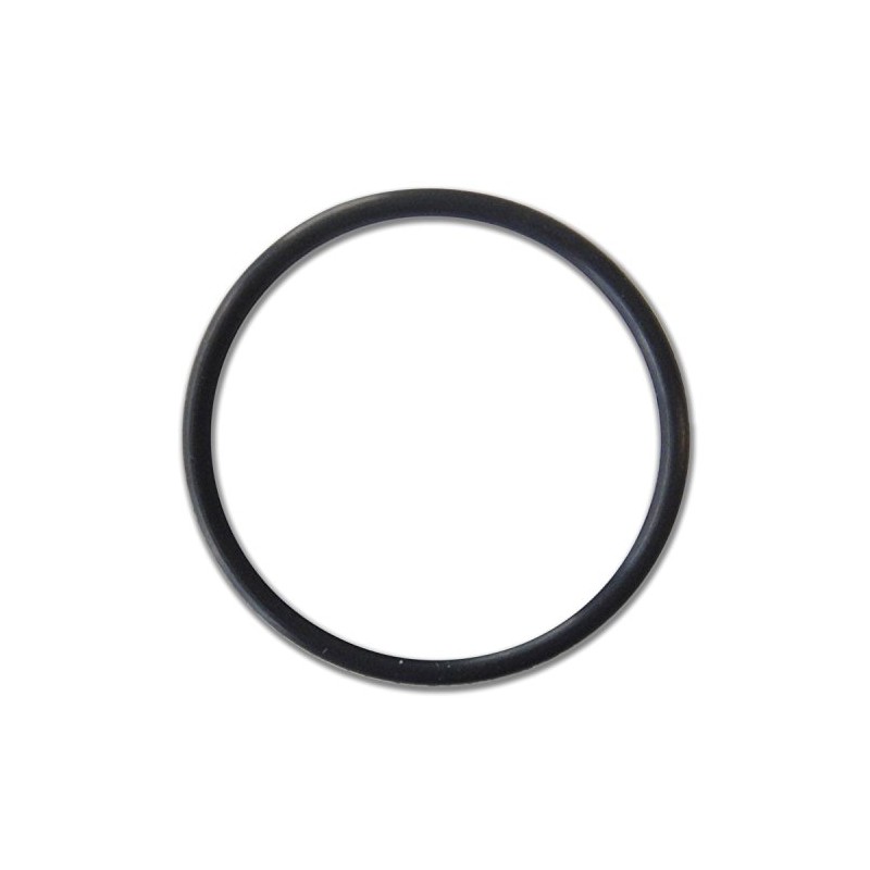 All Seals Replacement Feed Pipe O-Ring for Polaris 360/380 AS-024LE