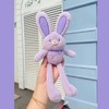 The Rabbit That Can Pull Its Ears, Plush Toy With