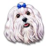 Maltese Sticker Vinyl Decal for Auto Cars Trucks Windshield or