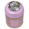 New English Teas Song Thrush & Berries Tea Caddy in