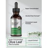 Horbäach Olive Leaf Extract Liquid | 2 fl oz |