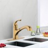 Derengge Brushed Gold Kitchen Faucet,Pull Out Kitchen Sink Faucet with