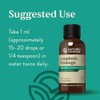 Nature's Sunshine Lymphatic Drainage, 2 Fl. Oz | Lymphatic Drainage