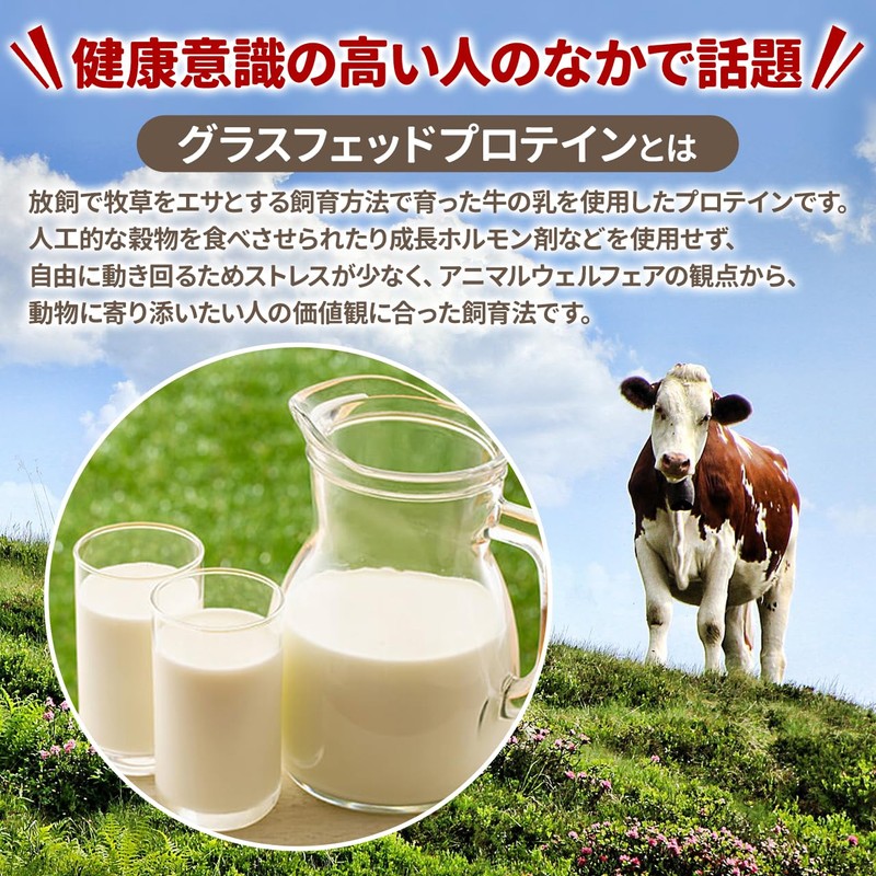 GRASS－FED WHEY PROTEIN instant （イギリス産）500g rBSTホルモン剤 不使用 甘味料不使用 着色料・香料・保存料無添加 WPC