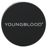 Pressed Mineral Blush Gilt 3g/0.1oz / 프레스드 미네랄 블러쉬 길트
