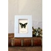 Creative Co-Op Marble Photo Frame, White