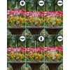 Biling Solar Fountain for Bird Bath, Solar Panel Kit Outdoor