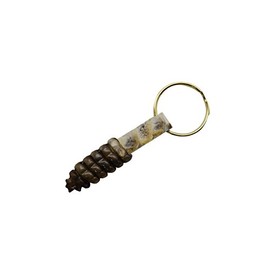 TG,LLC Treasure Gurus Rattlesnake Tail Rattle Keychain 100% Real Taxidermy Car Key Ring