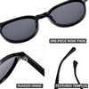 Polarized Retro Round Sunglasses Men Women Tinted Mirror Lens Round