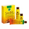 Sanotint PPD & Ammonia-Free Extra Light Blonde Hair Colour 88