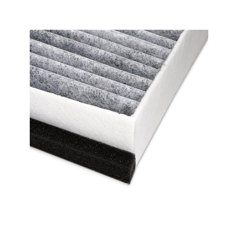 RIDEX Cabin Air Filter 424I0257 A-Class (W176) 255 mm 254
