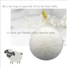 Three by Three Seattle Felt·Like·it!™ XL Wool Dryer Balls +