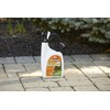 Ortho Home Defense Indoor and Outdoor Bug Killer Spray Bundle,