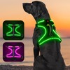 Light Up Dog Harness No Pull LED Dog Harness with